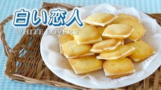 5 Ingredients Shiroi Koibito Chocolat Blanc et Langue de Chat Recipe  OCHIKERON [upl. by Idette]