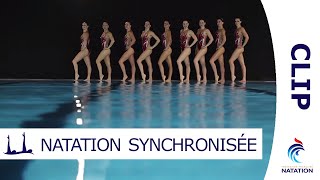 Grâce et Performance  La Natation Synchronisée par lEquipe de France  CLIP [upl. by Nhguavahs]