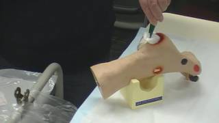 Advanced Wound Care Skills Video QUT School of Nursing [upl. by Adihsar]