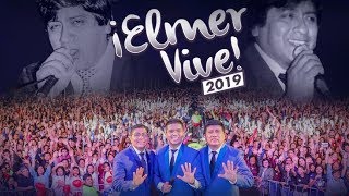 GRUPO 5  ELMER VIVE 2019 Concierto En Vivo [upl. by Ytomit]