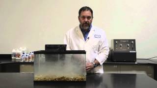 DrTims Aquatics  How to Use Our One and Only Live Nitrifying Bacteria [upl. by Nonie]