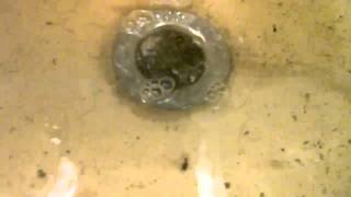 Clean Your Drains With Baking Soda and Vinegar [upl. by Guzel]