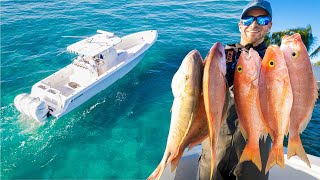 Deep Sea Fishing in a 1200 Horsepower Boat  Tropical Fishing Videos Catch and Cook [upl. by Nolrah981]