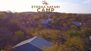 Classic Namibia  Etosha Safari Camp [upl. by Sheffy]