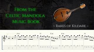 Mandola  Rakes of Kildare  Celtic Music Book [upl. by Ribal644]