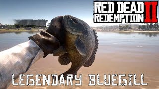 Red Dead Redemption 2  Legendary Bluegill [upl. by Montford]