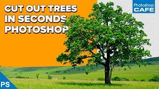 INSTANTLY CUT OUT TREES in PHOTOSHOP  Channel based selections [upl. by Fregger]