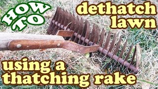 How To Dethatch Lawn Thatch  Thatching Dethatching Rake  Thatcher Dethatcher Aeration Garden Tool [upl. by Yesteb]