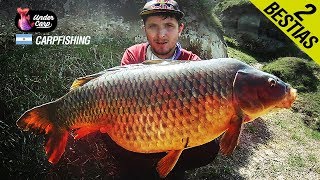 INCREIBLE PESCA DE CARPAS GIGANTES EN NAMEKUSEI  Carpfishing Argentino  Undercarp [upl. by Lainad349]