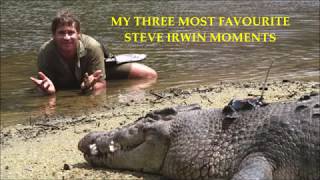 My 3 Most Favourite Steve Irwin Moments [upl. by Chelton771]