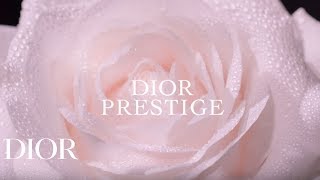 Dior Prestige La MicroLotion de Rose [upl. by Orms292]