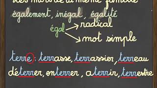 Les mots de la même famille [upl. by Halie]