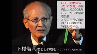 講義 生物352 遺伝子組換えトランスジェニック動物とGFP [upl. by Eivol113]