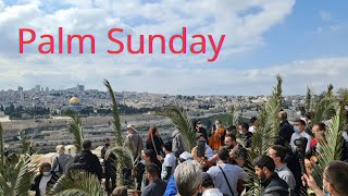 HAPPY PALM SUNDAY FROM JERUSALEM This is how Palm Sunday is celebrated in Jerusalem [upl. by Ahsitan]