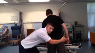 Mckenzie Exercises Lumbar Spine Shift Correction in Standing James Sharp [upl. by Hjerpe713]