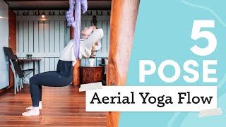 Aerial Yoga Basics for Beginners [upl. by Sanoy]