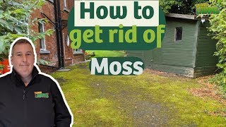 The BEST way to clean moss off a tarmac driveway [upl. by Constantin]