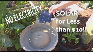 NO ELECTRICITYBIRDBATH with SOLAR Pump Fountain in Garden for Birds [upl. by Aveer]