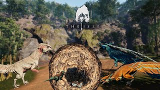 4 Generations Of Hypsi  The Great Hypsi Colony Part 5  Hypsilophodon Gameplay  The Isle Evrima [upl. by Ahsiuqram]