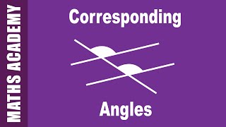 Corresponding Alternate and Cointerior Angles [upl. by Jacobson307]