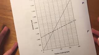 Maths Lit  Paper 1 Nov 2020 Q23  income expenses amp break even [upl. by Doxia12]