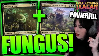 ABZAN FUNGUS is WILD😵‍New Standard Sacrifice Deck 🍄MTG Ixalan Gameplay amp Deck Tech [upl. by Areek]