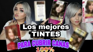 LOS MEJORES TINTES PARA CUBRIR CANAS AL 100 Lizzmuller [upl. by Ecidna]