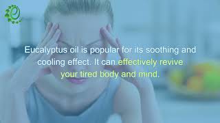 17 Wonderful Benefits Of Eucalyptus Oil  Organic Facts [upl. by Rehpotsirhcnhoj440]