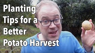 Growing Potatoes Planting Tips for a Better Potato Harvest [upl. by Harwin]