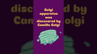 Golgi apparatus [upl. by Jocelyne]