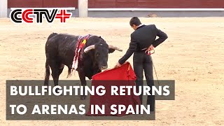 Bullfighting Returns to Arenas in Spain After COVID19 Related Closures [upl. by Hutton740]