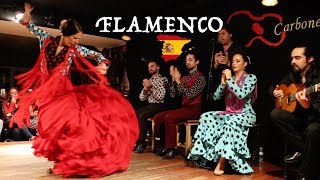 FLAMENCO EN MADRID [upl. by Narud]