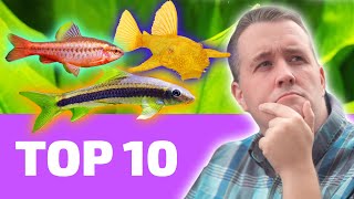 Top 10 EASY Fish That Every BEGINNER Needs [upl. by Aihsoek]