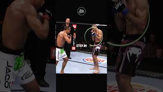 The Greatest Spinning Heel Kick ufc [upl. by Ardnu528]