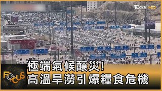 極端氣候釀災 高溫旱澇引爆糧食危機｜方念華｜FOCUS全球新聞 20240624 tvbsfocus [upl. by Clite]