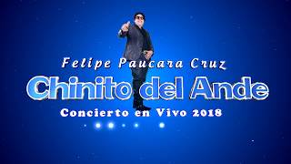 CHINITO DEL ANDE  Solo Solito Solo 2018  Concierto en Vivo Tacna [upl. by Ettennad]