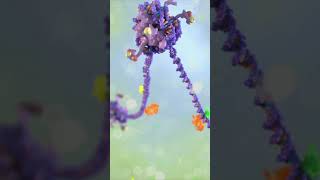 Mitotic Bookmarking in Embyonic Stem Cells science scientificanimation medicalanimation [upl. by Bred]