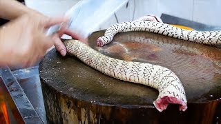 Chinese Street Food  GIANT SNAKE SOUP Guangdong China [upl. by Enowtna]