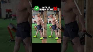 quotGet Bigger Biceps with This Long Head Cable Workout Routinequot [upl. by Halland]