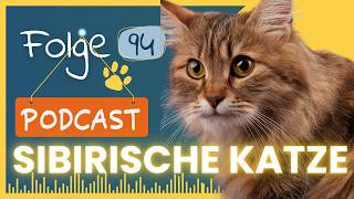 Folge 94 Die Sibirische Katze  Zwischen Wildnis und Wohnzimmersofa [upl. by Ariaec]