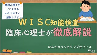 【心理検査】WISC知能検査について臨床心理士が解説する｜臨床心理士・公認心理師が31分で解説する [upl. by Romaine]