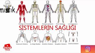 6SINIF VÜCUDUMUZDAKİ SİSTEMLERİN SAĞLIĞI [upl. by Hegarty]