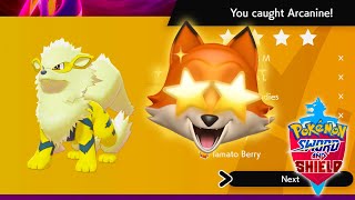 ADAMANT SHINY ARCANINE Pokémon Sword And Shield [upl. by Annette699]