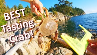 Crabbing From Shore Catch amp Cook Dungeness Crab [upl. by Ayal]