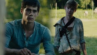 The Life of Newt Maze Runner [upl. by Assin22]