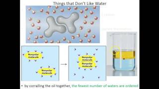 Lecture 1B Water  the Universal Solvent amp van der Waals [upl. by Mukerji]