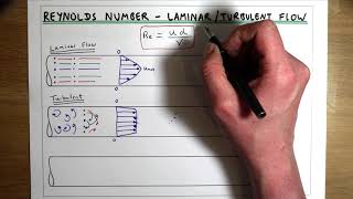 Laminar Flow Turbulent Flow and Reynolds Number [upl. by Hetty]