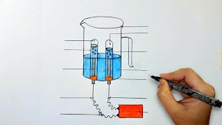 Electrolysis of water diagram  how to draw electrolysis of water diagram [upl. by O'Hara137]