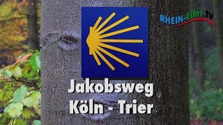 Jakobsweg KölnTrier  Sehenswertes  Teil 1  RheinEifelTV [upl. by Lombardo]