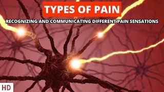 From Aching to Burning Decoding the Diverse Types of Pain [upl. by Steinke855]